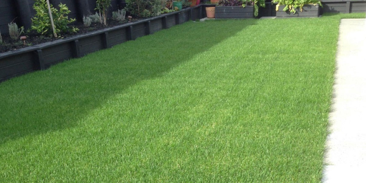 waikato_photo_04