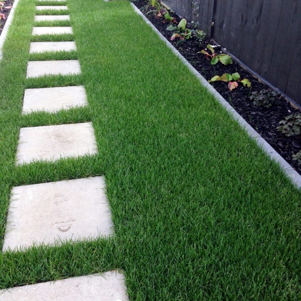 Small Lawn